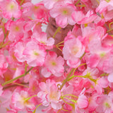1.8m 256 Simulated Artificial Sakura Flower Garland Hanging Vines for Spring Home Room Wedding Party Decor Dark Pink