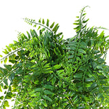 2pcs Artificial Hanging Plants Fern Plastic Green Fake Wall Hanging Ferns Plants for Garden Wedding Decoration - Low Angle