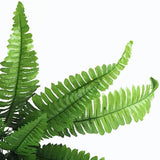 2Pcs 18 Heads Artificial Persian Leaves Artificial Shrubs Leaves Simulation Greenery Bushes for Home Garden Office Verandah Wedding