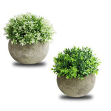 2 PCS Simulated Plant Bonsai Semicircular Ball Pulp Bonsai Desktop Green Plants Potted Ornaments White Green - Top-Down View