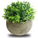 2 PCS Simulated Plant Bonsai Semicircular Ball Pulp Bonsai Desktop Green Plants Potted Ornaments White Green