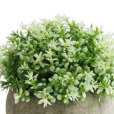 2 PCS Simulated Plant Bonsai Semicircular Ball Pulp Bonsai Desktop Green Plants Potted Ornaments White Green - Extra Image