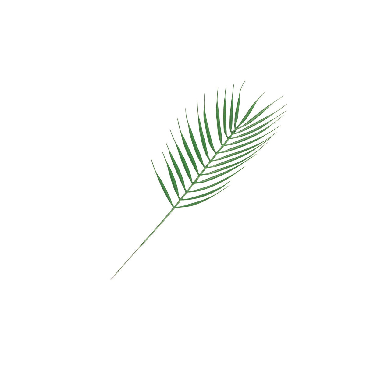 70pcs Simulated Palm Leaves Decorative Practical 10 Kinds Fake Faux Jungle Leaf Set for Home