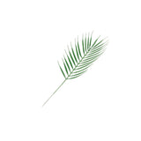 70pcs Simulated Palm Leaves Decorative Practical 10 Kinds Fake Faux Jungle Leaf Set for Home - Extra Image