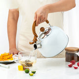 Whistle Kettle Stovetop Stainless Steel Foldable Handle Kitchen Supplies 2.5L White - Rear View