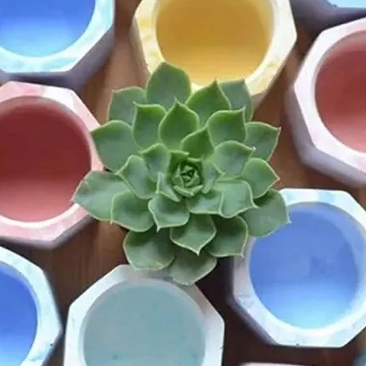 3 Pcs Silicone Planter Mold For Making Concrete Flower Pots DIY Succulent Plants Blue Pink Purple