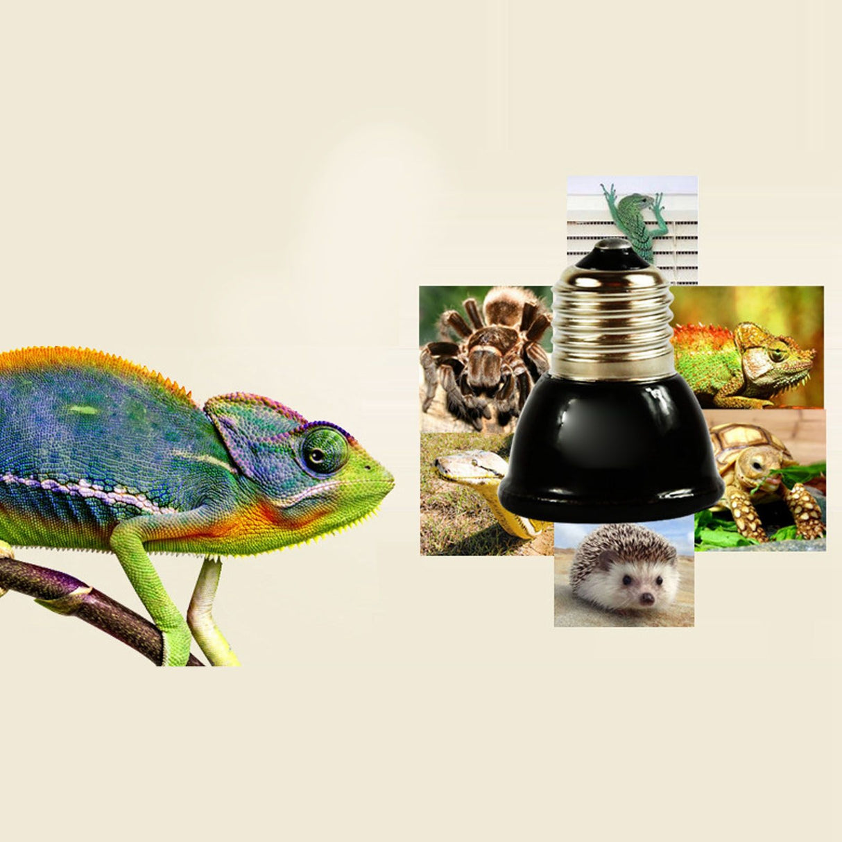 100W Ceramic Heating Lamp Non Luminous Pet Heating Light for Reptile Home 220V Black