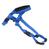 Dog Head Collar Breathable Dog Head Harness Dog Mouth Cover with Adjustable Strap for Outdoor Blue XL - Low Angle