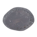 Pet Memorial Garden Stone DIY Butterfly Print Pet Cat Dog Grave Marker Resin Pet Memorial Gift Stone Grey