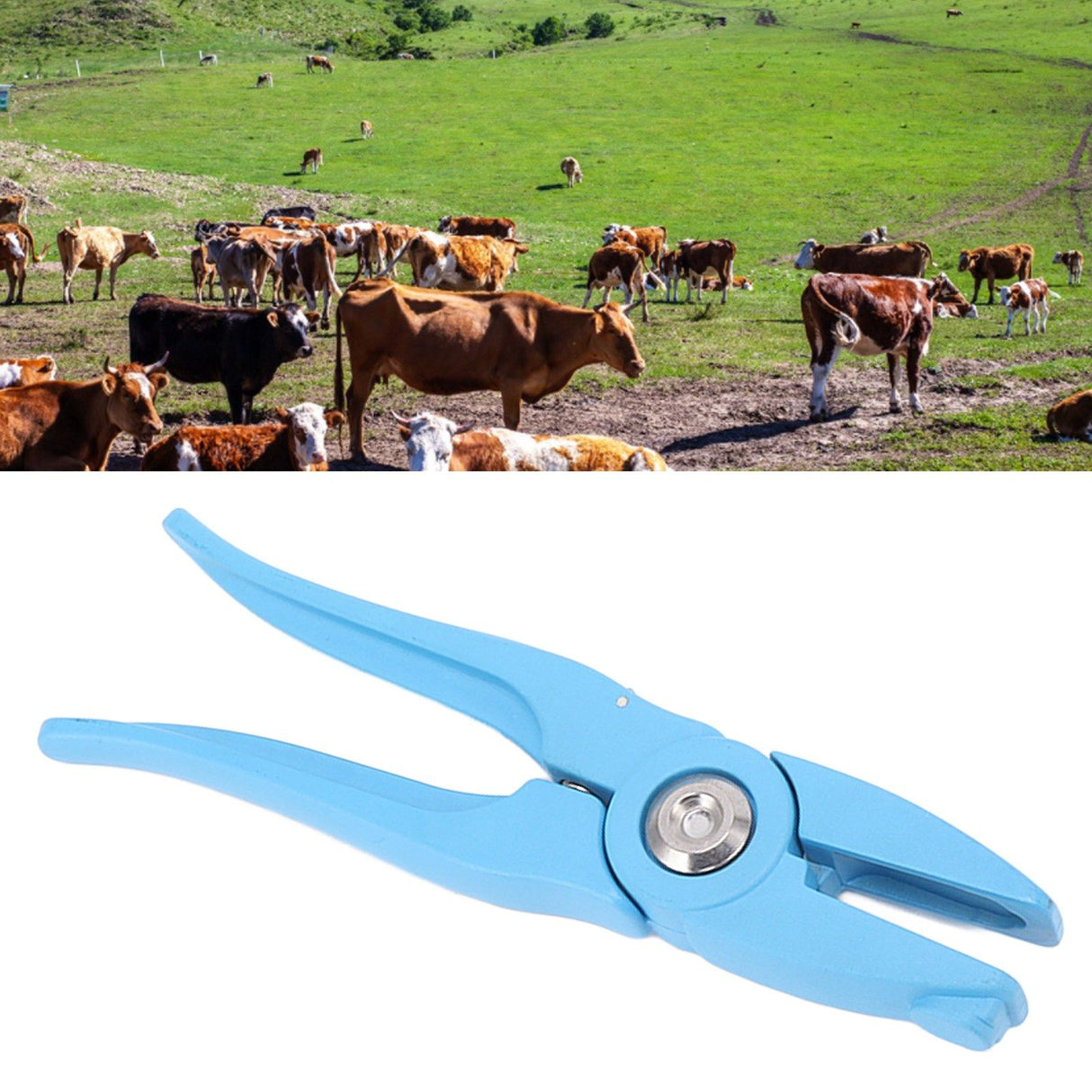 Ear Tag Applicator Universal Metal Animal Ear Tag Plier for Cow Sheep Goat Pig Cattle Farm Animals