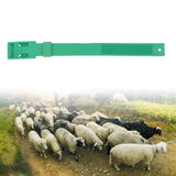 10Pcs Goat Collar Sheep Identification Bands Livestock Marking Ring Farming Equipment 36cm Green - Extra Image