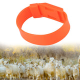 10Pcs Goat Collar Sheep Identification Bands Livestock Marking Ring Farming Equipment 36cm Orange