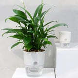 3PCS Self Watering Planter Pots Double Layer Green Plant Flower Pot for Garden Balcony Indoor Cultivation