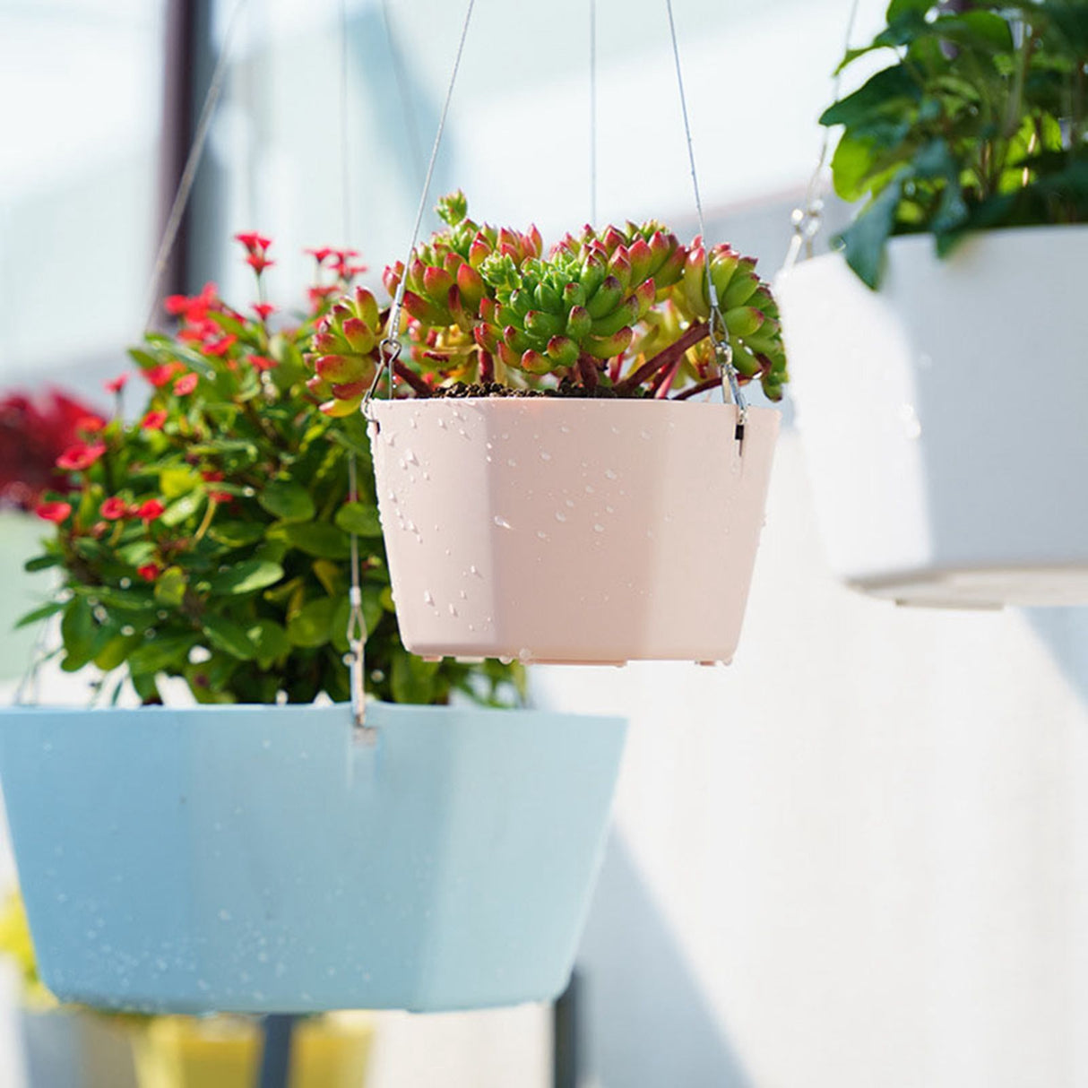 6PCS Planter Plastic Plant Pot Flower Container with Thickened Tray for Indoor Outdoor Garden
