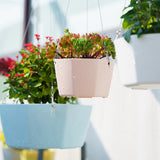 6PCS Planter Plastic Plant Pot Flower Container with Thickened Tray for Indoor Outdoor Garden