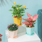 6PCS Planter Plastic Plant Pot Flower Container with Thickened Tray for Indoor Outdoor Garden - Low Angle