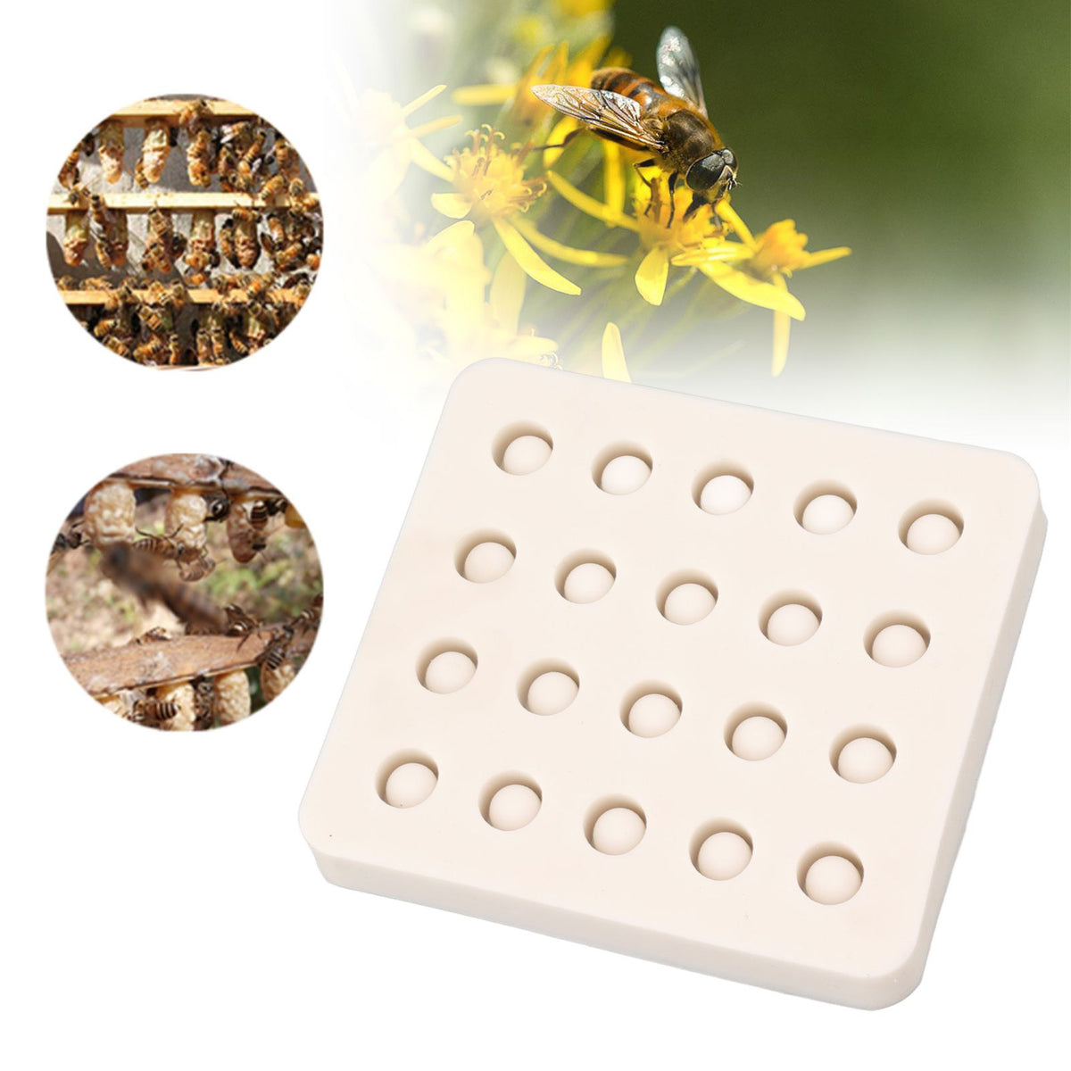 Queen Bee Rearing Mold Silicone 20 Cups Beeswax Mold Beekeeping Bee Cell Cup for Garden