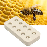 Wax Queen Grafting Cups Silicone Mold Beekeeping Beeswax Queen Cell Cups Making Mold 2 Rows 96x48x14mm