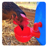 4 Set Automatic Poultry Fount Plastic Waterer Bowl with Hose Attachment for Game Bird Universal Red