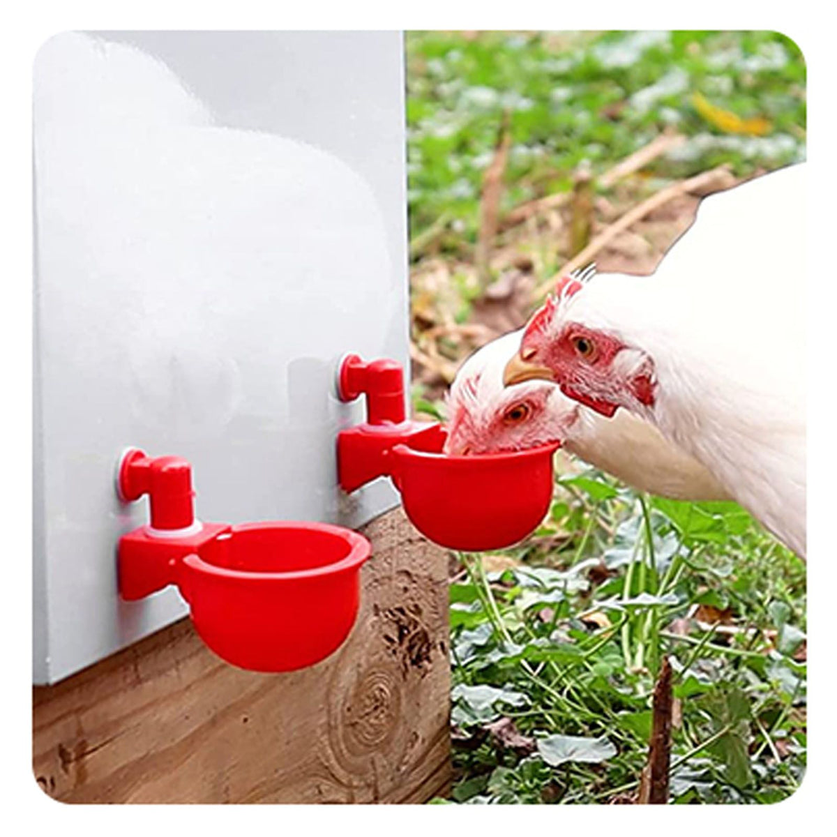 4 Set Automatic Poultry Fount Plastic Waterer Bowl with Hose Attachment for Game Bird Universal Red