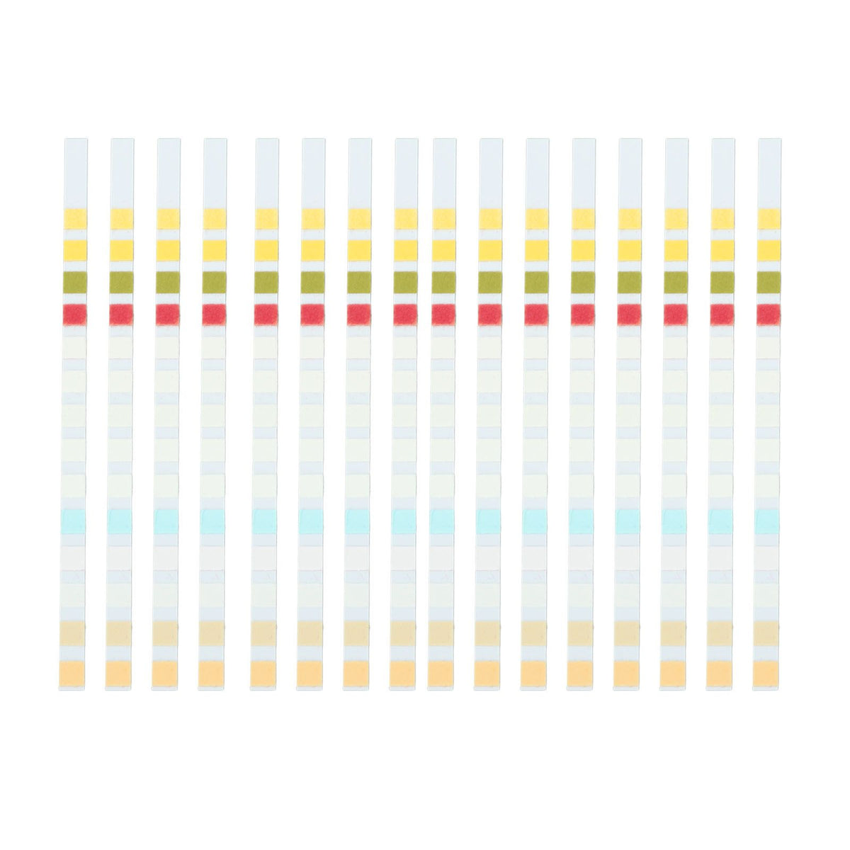 50 Strips Water Test Strips 14 in 1 PH Meter Testing Paper for Drinking Water Pool Hot Spring Pond