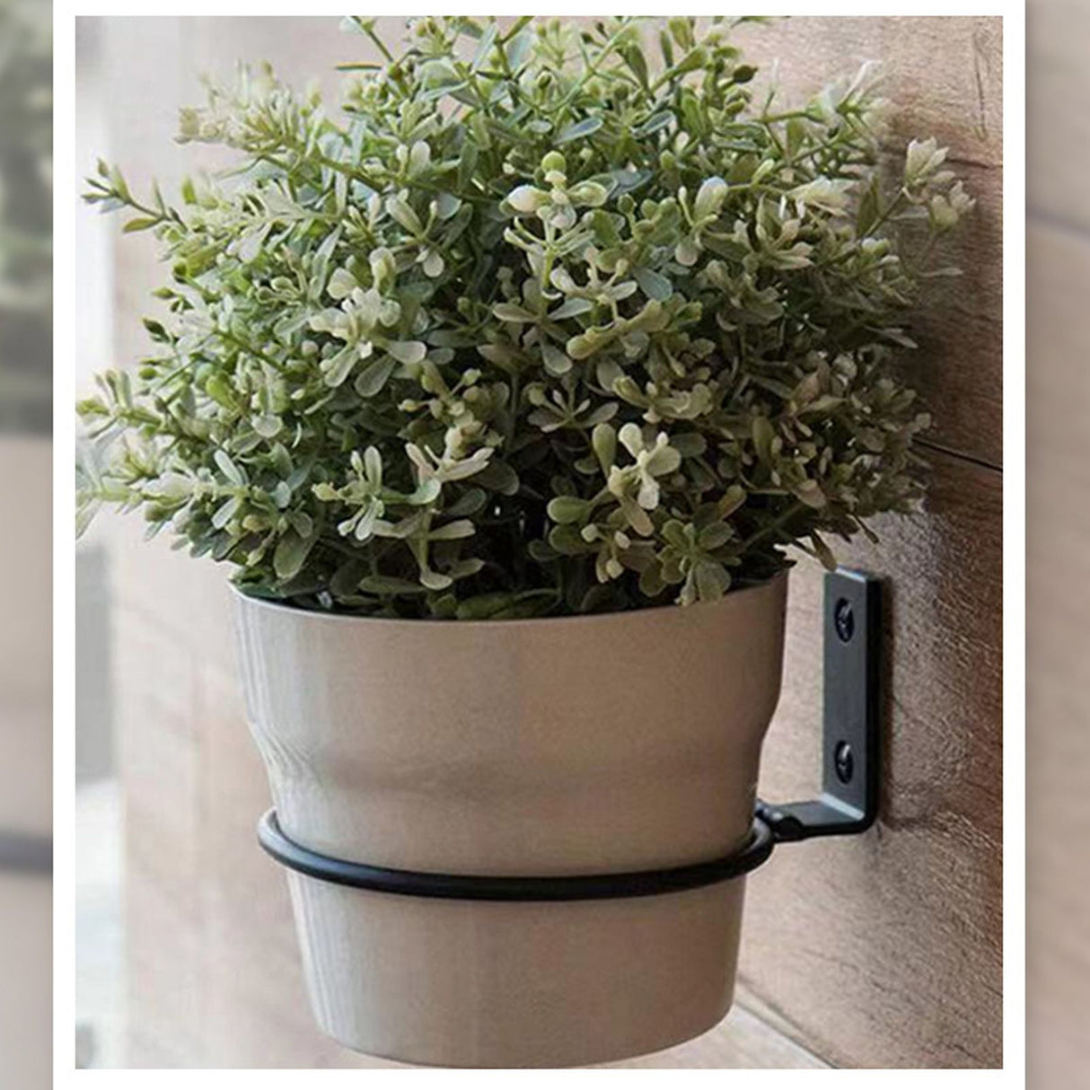 3Pcs 6 Inch Flower Pot Holder Ring Wall Mounted Metal Plant Pot Hanger for Indoors Outdoors