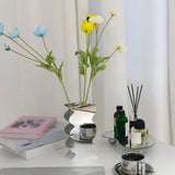 Flower Vase Modern Acrylic Decorative Unique Wavy Shape Vase for Bedroom Living Room Table Mirror