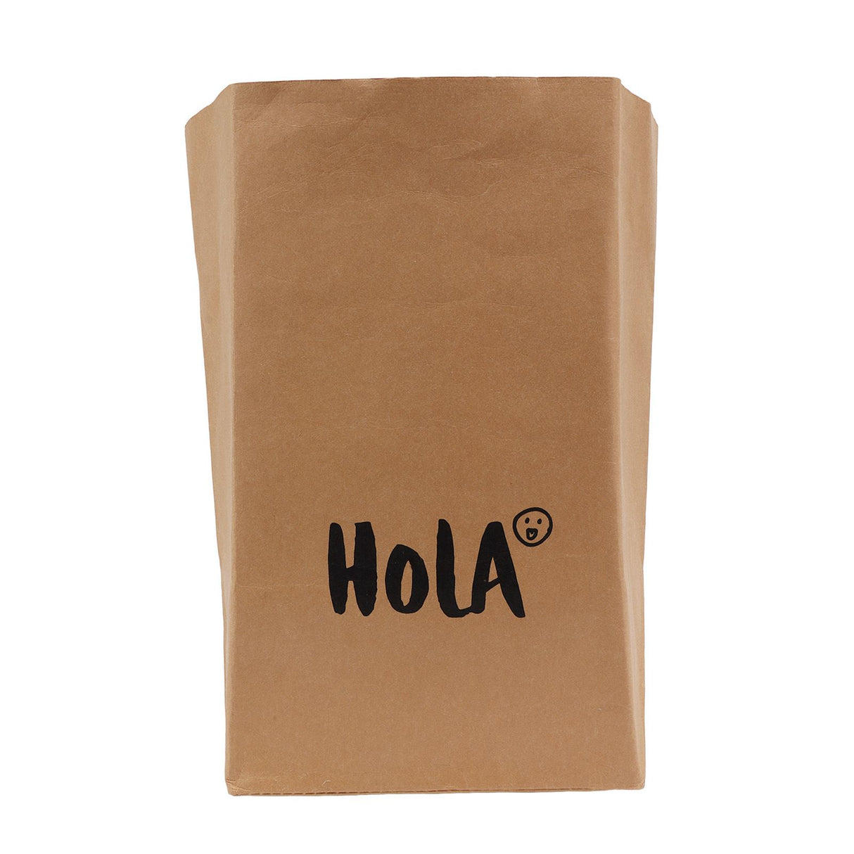 Paper Bag Water Washing Large Capacity Grocery Storage Kraft Paper Bag for Home Kitchen Extra Large Size HOLA Pattern