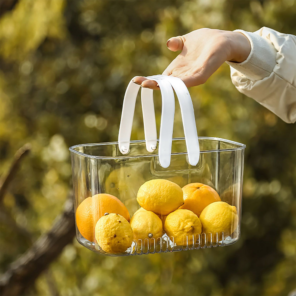 Clear Hand Basket Comfortable Handle Ventilation Holes Easy Access Versatile Fruit Storage Basket for Camping White