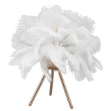 Feather Table Lamp USB Rechargeable Ostrich Feather Desk Light with Gold Tripod for Bedroom 40Pcs Artificial Feather White
