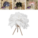 Feather Table Lamp USB Rechargeable Ostrich Feather Desk Light with Gold Tripod for Bedroom 40Pcs Artificial Feather White
