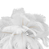Feather Table Lamp USB Rechargeable Ostrich Feather Desk Light with Gold Tripod for Bedroom 40Pcs Artificial Feather White