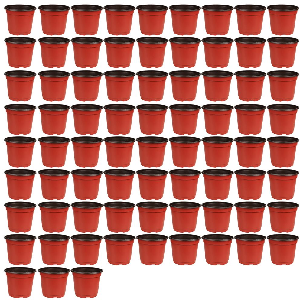 75 Pcs Plastic Plant Flower Pot Nursery Transplanting Pot Seeds Container Garden Decoration
