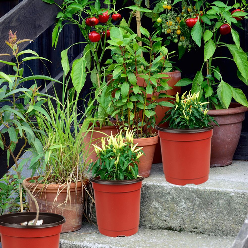 75 Pcs Plastic Plant Flower Pot Nursery Transplanting Pot Seeds Container Garden Decoration
