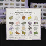 20 Pcs Christmas Advent Calendar Countdown Toy Natural Crystal Agate Stone Rocks Minerals and Fossils Calendar Blind Box Toy for Kids and Geology Enthusiasts