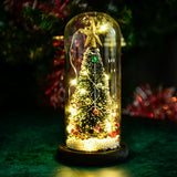 Christmas Tree in Glass Dome LED Glass Cover Ornaments Cedar Window Shooting Props Gifts for Girlfriends and Lovers