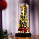 Christmas Tree in Glass Dome LED Glass Cover Ornaments Cedar Window Shooting Props Gifts for Girlfriends and Lovers - Rear View