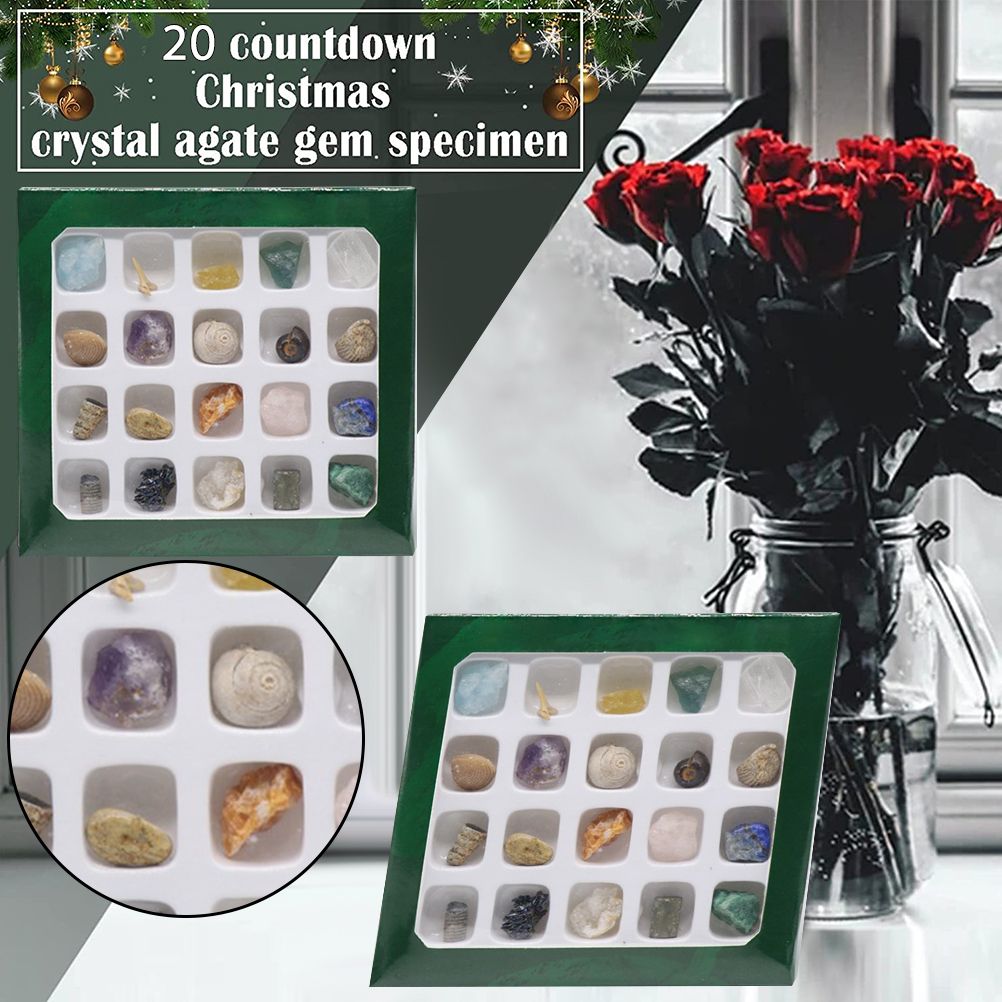 20 kinds of Mini Size Natural Crystal Agate Stone Rocks Minerals Fossils Kids Teaching Materials for Geology Enthusiasts Collection Gifts