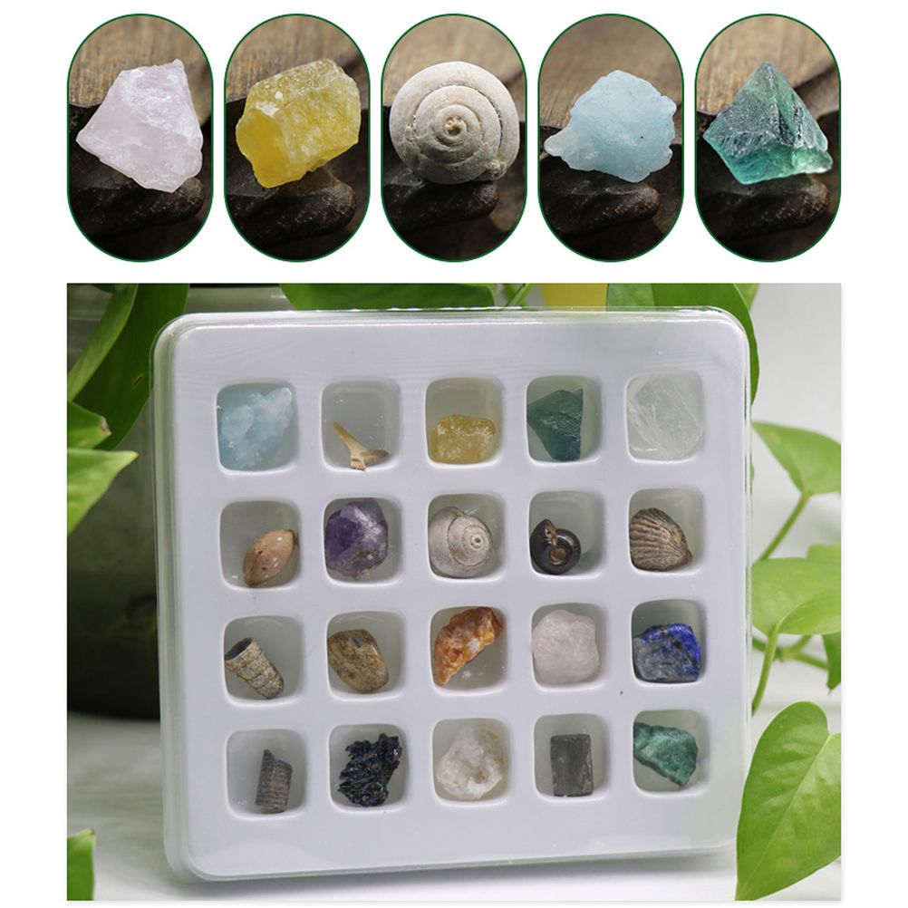 20 kinds of Mini Size Natural Crystal Agate Stone Rocks Minerals Fossils Kids Teaching Materials for Geology Enthusiasts Collection Gifts