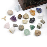 20 kinds of Mini Size Natural Crystal Agate Stone Rocks Minerals Fossils Kids Teaching Materials for Geology Enthusiasts Collection Gifts
