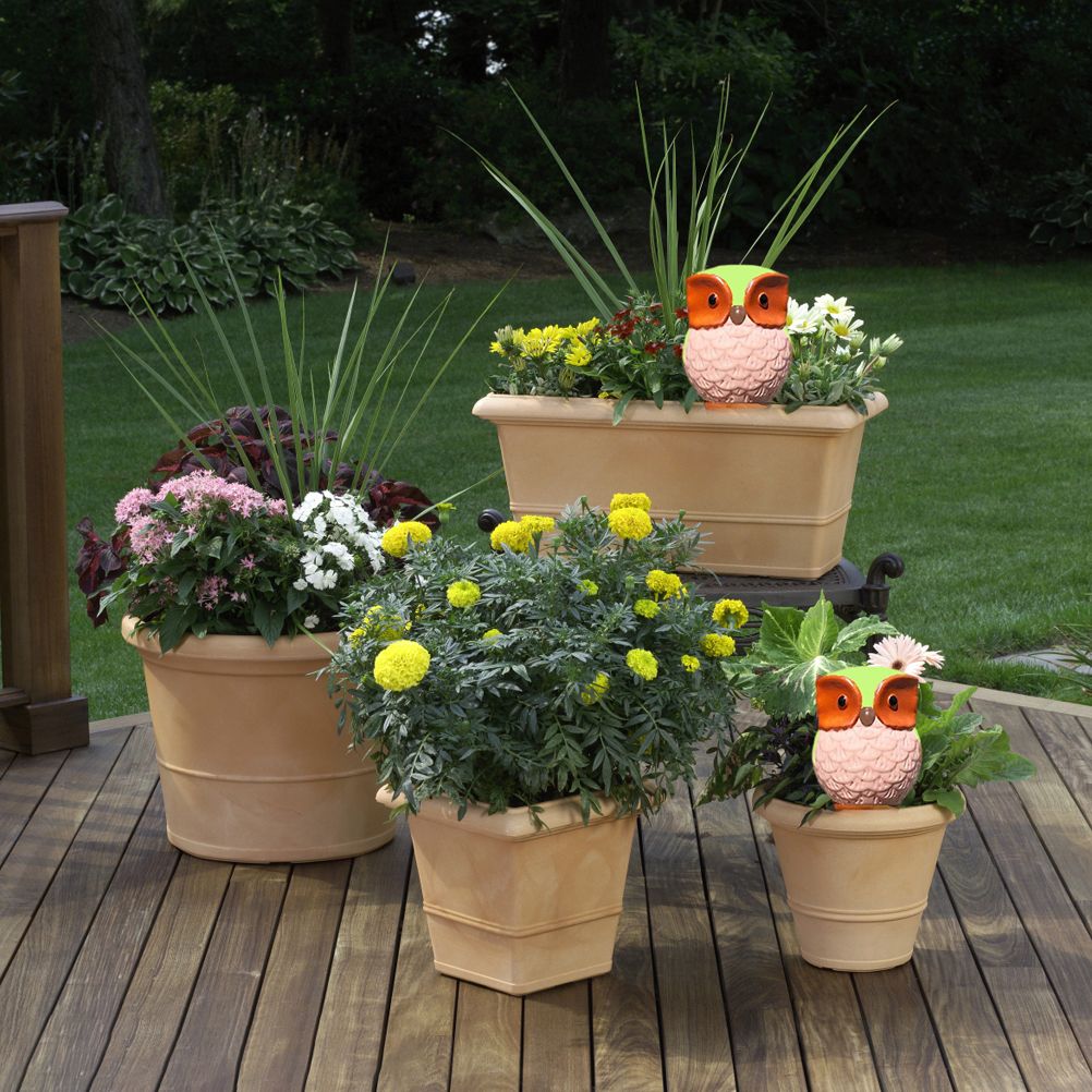 6Pcs Owl Plant Irrigation Automatic Watering Stakes Terracotta Spiral Devices for Indoor and Outdoor Plants Watering
