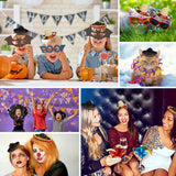 3 Pack Cinco De Mayo Fiesta Headbands Party Decorations Non Woven and Straw Sombrero Party Hats Photo Booth Props for Kids Pet