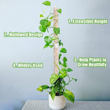 Moss Pole 25cm Plastics Coir Moss Totem Pole Stick for Plant Stakes and Supports Climbing Indoor Plants