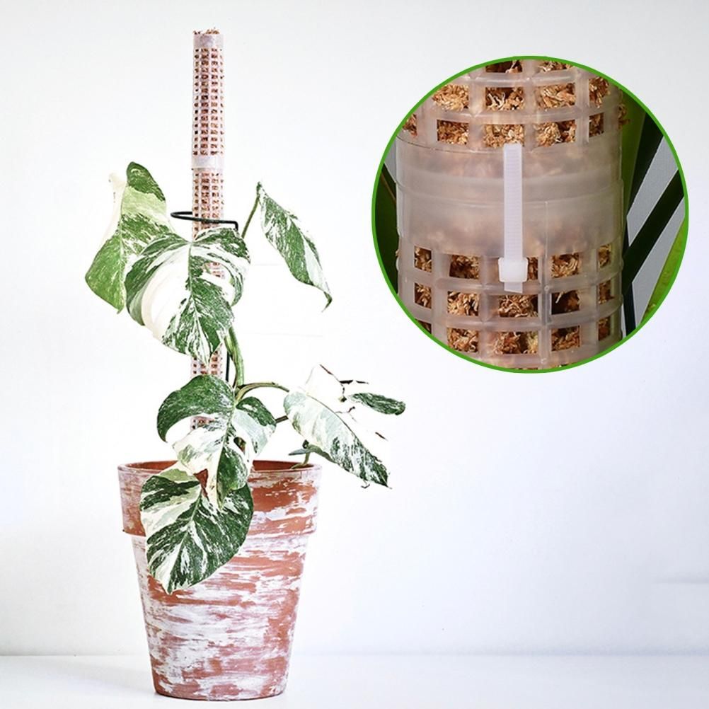 Moss Pole 25cm Plastics Coir Moss Totem Pole Stick for Plant Stakes and Supports Climbing Indoor Plants
