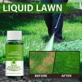 2 Pack Lawn Liquid Home Garden Courtyard Lawn Greening Agent - Top-Down View