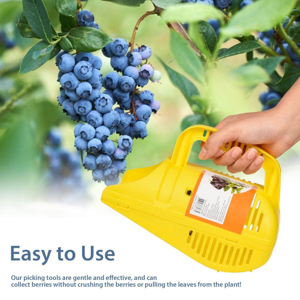 Blueberry Picker Plastic Berry Picker Tool Blueberry Rakes Harvester for Blueberries Lingonberries Huckleberries
