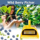 Blueberry Picker Plastic Berry Picker Tool Blueberry Rakes Harvester for Blueberries Lingonberries Huckleberries
