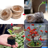 Seed Starter Soil Plugs Plant Fiber Nursery Blocks Peat Soil Pellets