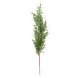 Simulation of Cypress Branches Leaves Simulation Plants for Home Decoration