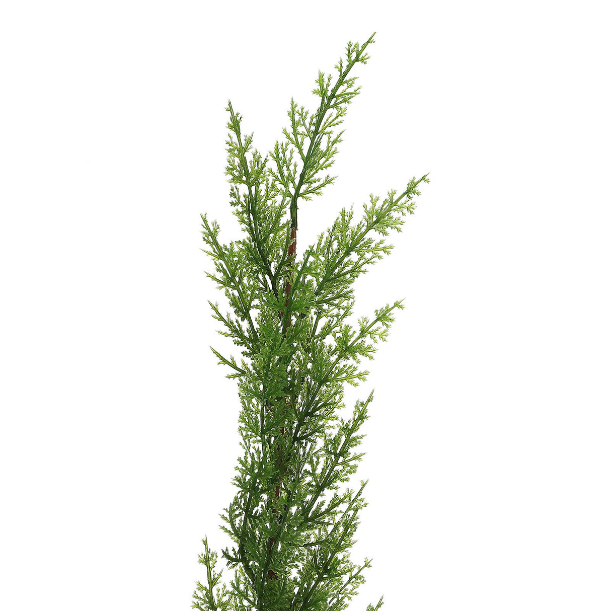 Simulation of Cypress Branches Leaves Simulation Plants for Home Decoration